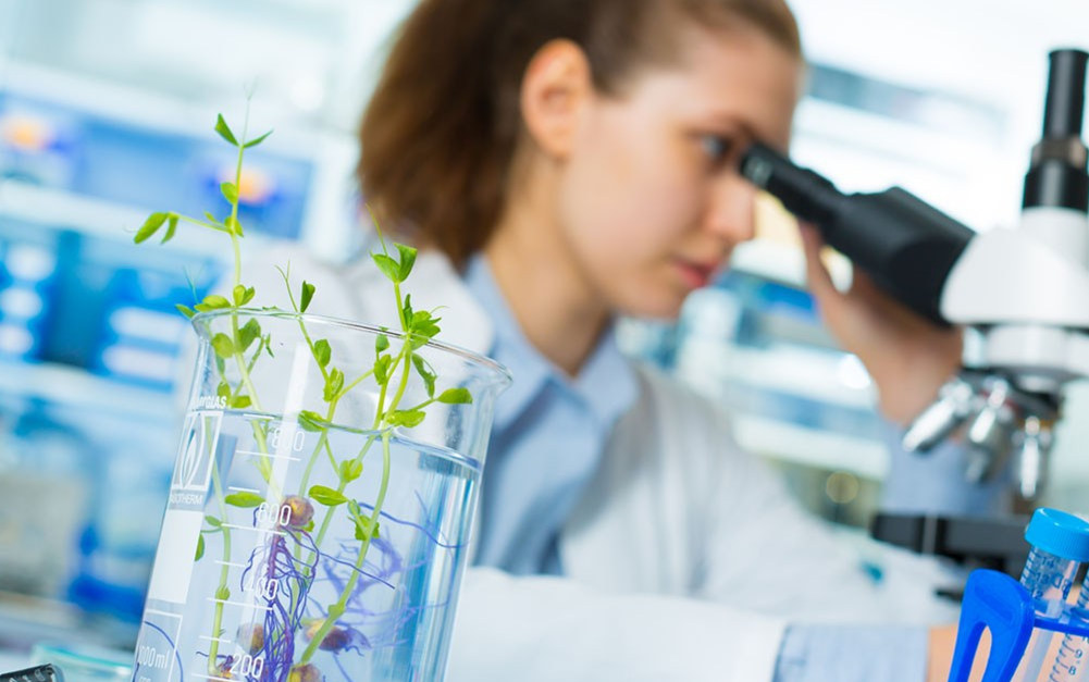 顯微鏡由哪些部分組成？